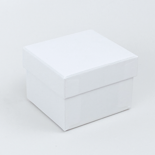 White Box the Black Jewelry Box with Gold Trim Goes Into