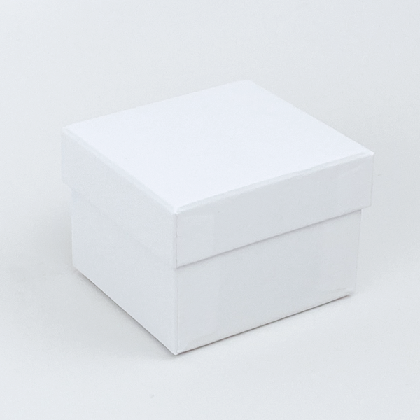 White Box the Black Jewelry Box with Gold Trim Goes Into